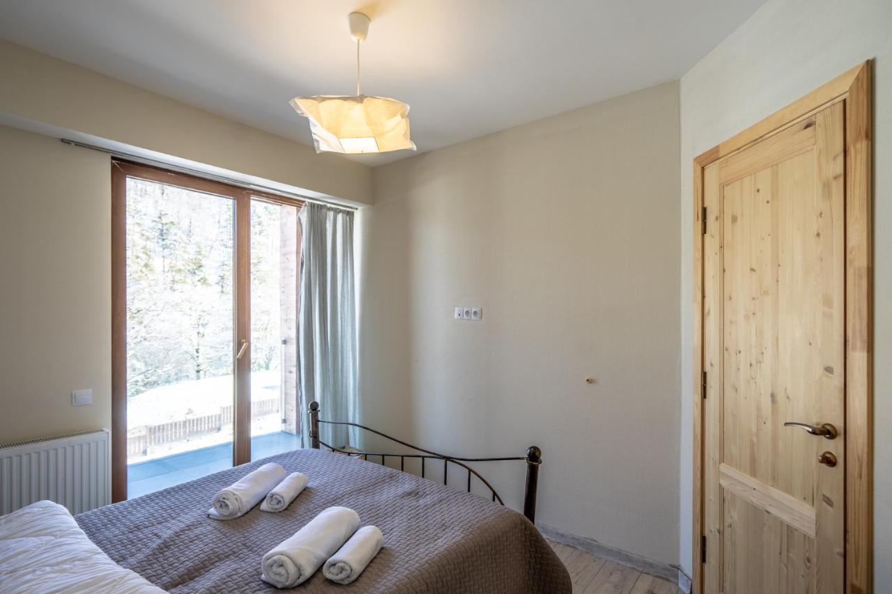 Didveli Valley 巴库里阿尼 外观 照片