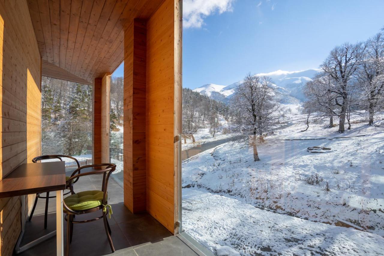 Didveli Valley 巴库里阿尼 外观 照片